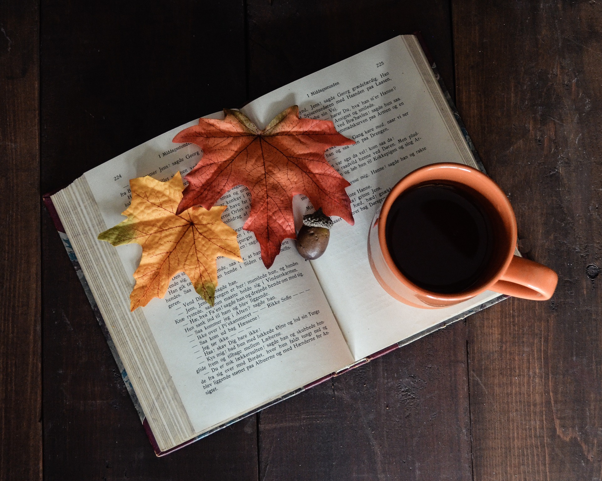 Photo of book with fall leaves and mug of coffee.