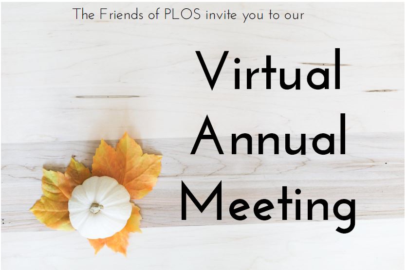 Welcome to our virtual meeting
