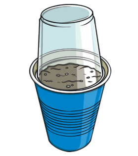 Mini Greenhouse Experiment Plastic Cup
