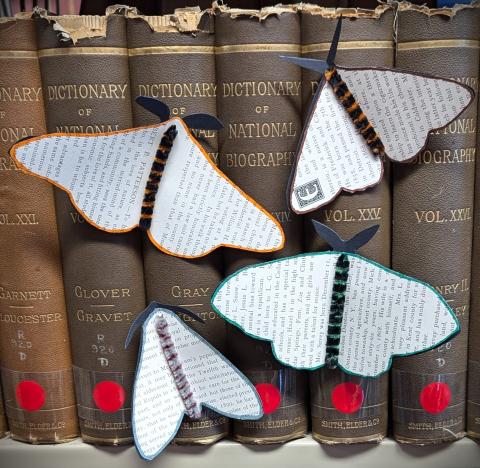 paper moths