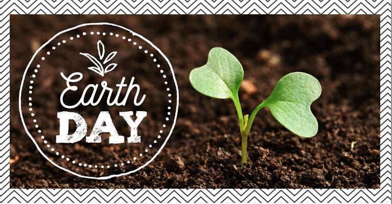 Earth Day Seed Bombs