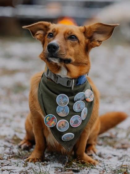 Dog with bandana with buttons on it